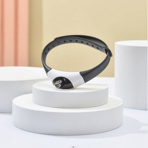 Unleash Joy with the Pet Cat Toy Laser Collar