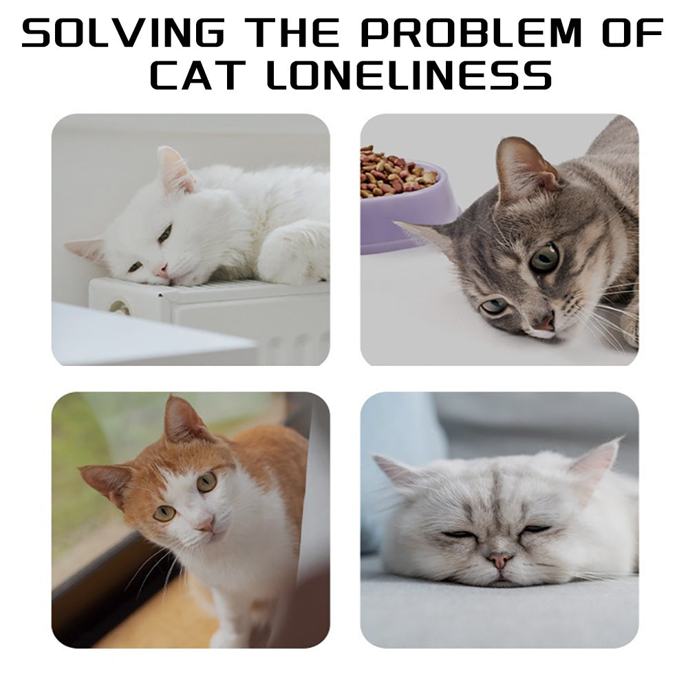 Pet Knots Chew Rope Toy