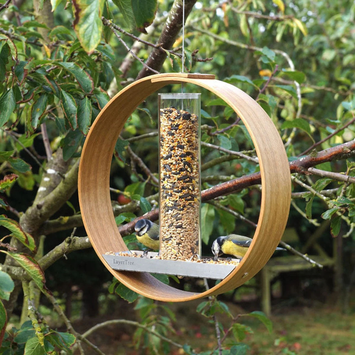 Simple Hanging Bird Feeder