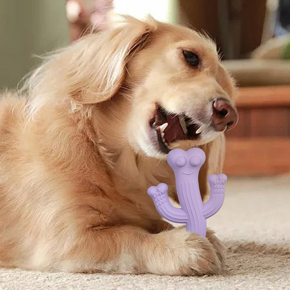 Cactus Puppy Chew Pet Toy