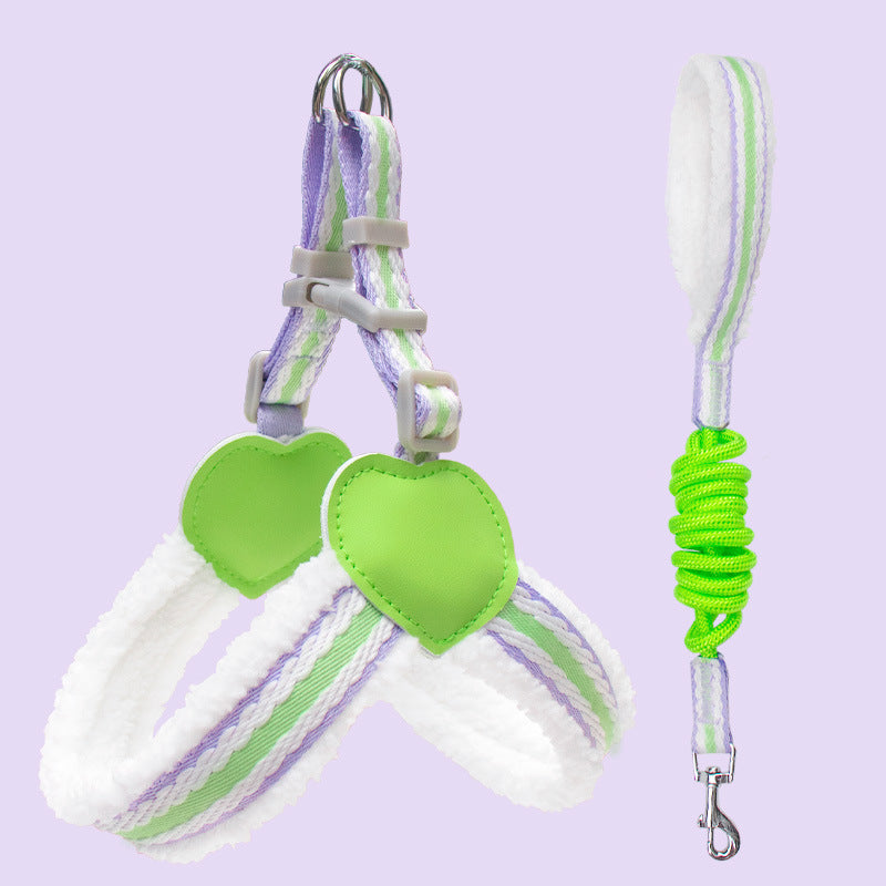 Pet Walking Dog Leash