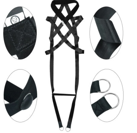 Dog Training Supplies Leashes