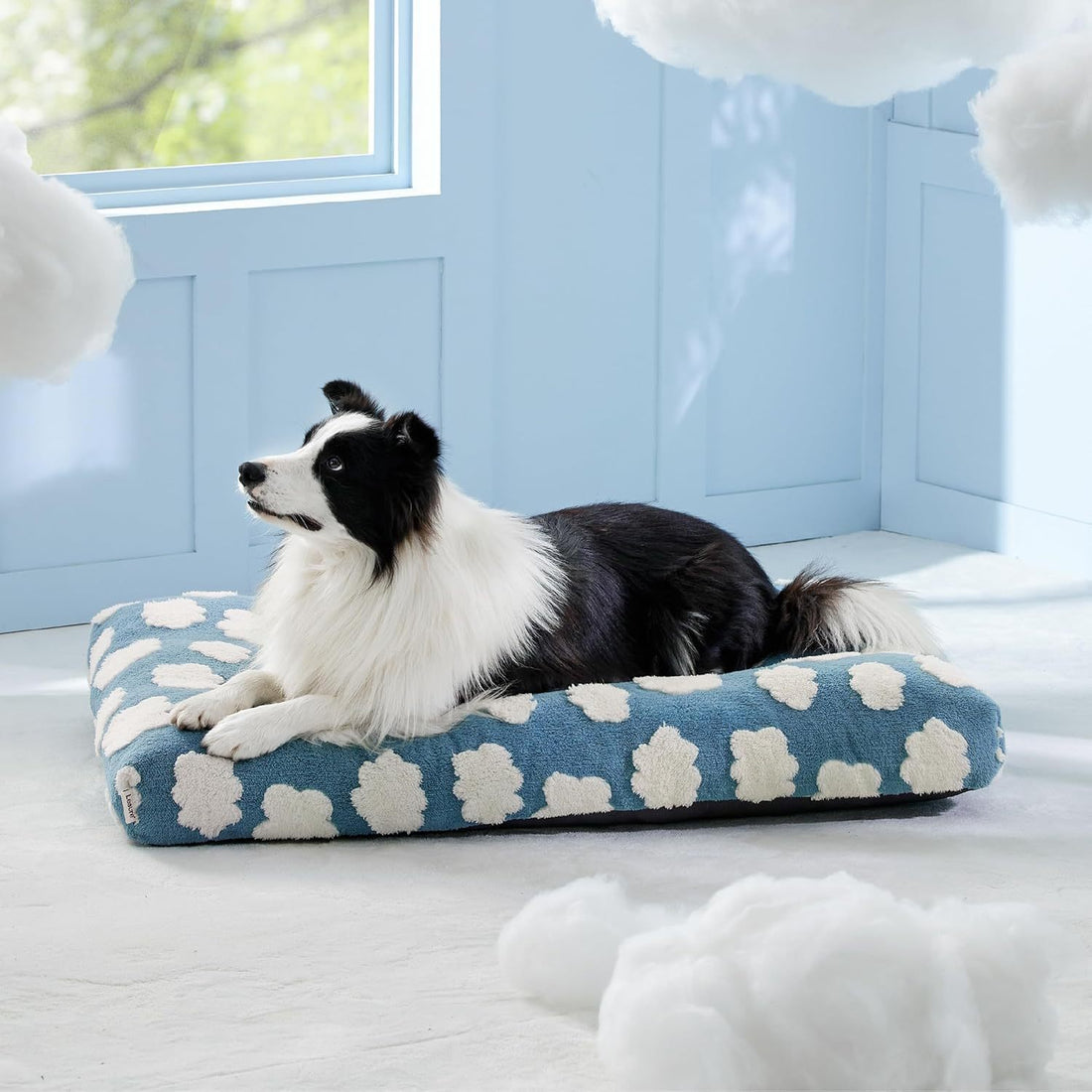 Large Sized Dog Thick Plush Bed
