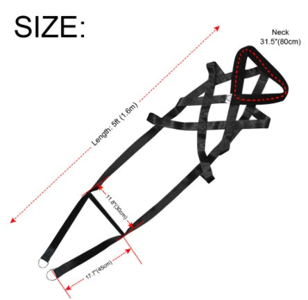 Dog Training Supplies Leashes