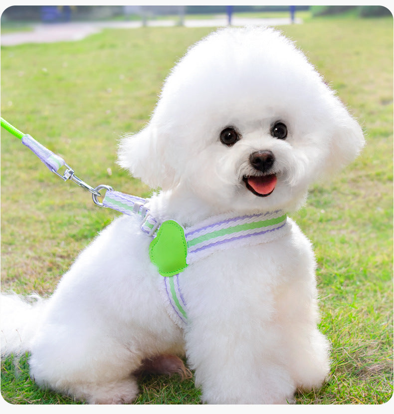 Pet Walking Dog Leash