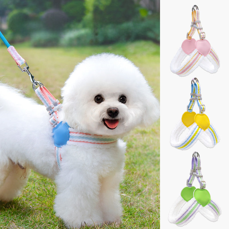 Pet Walking Dog Leash