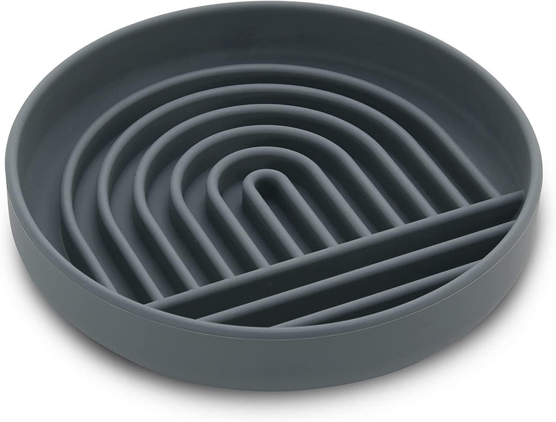 Pet Simple Slow Feeding Bowl