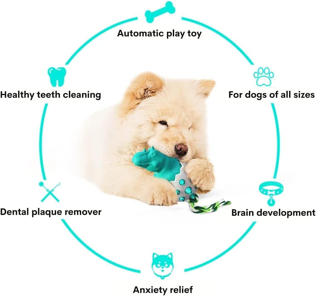 Dog Teething Toy