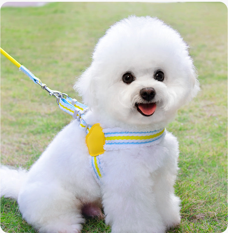 Pet Walking Dog Leash