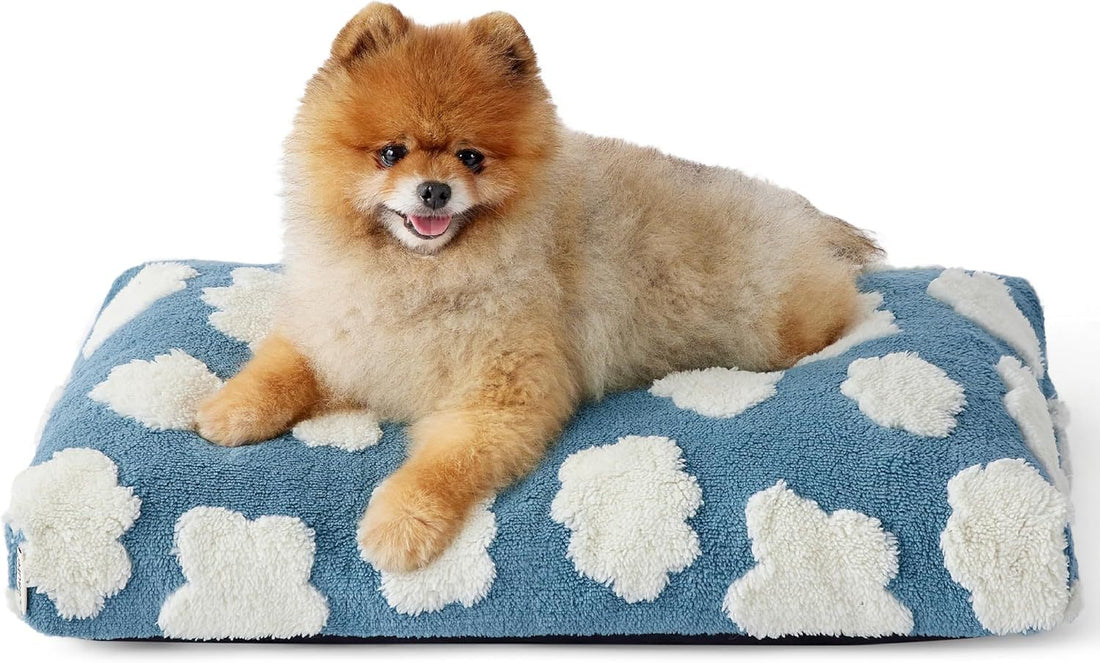 Large Sized Dog Thick Plush Bed