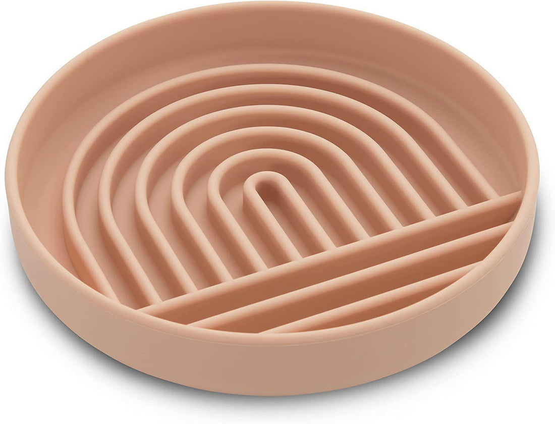 Pet Simple Slow Feeding Bowl