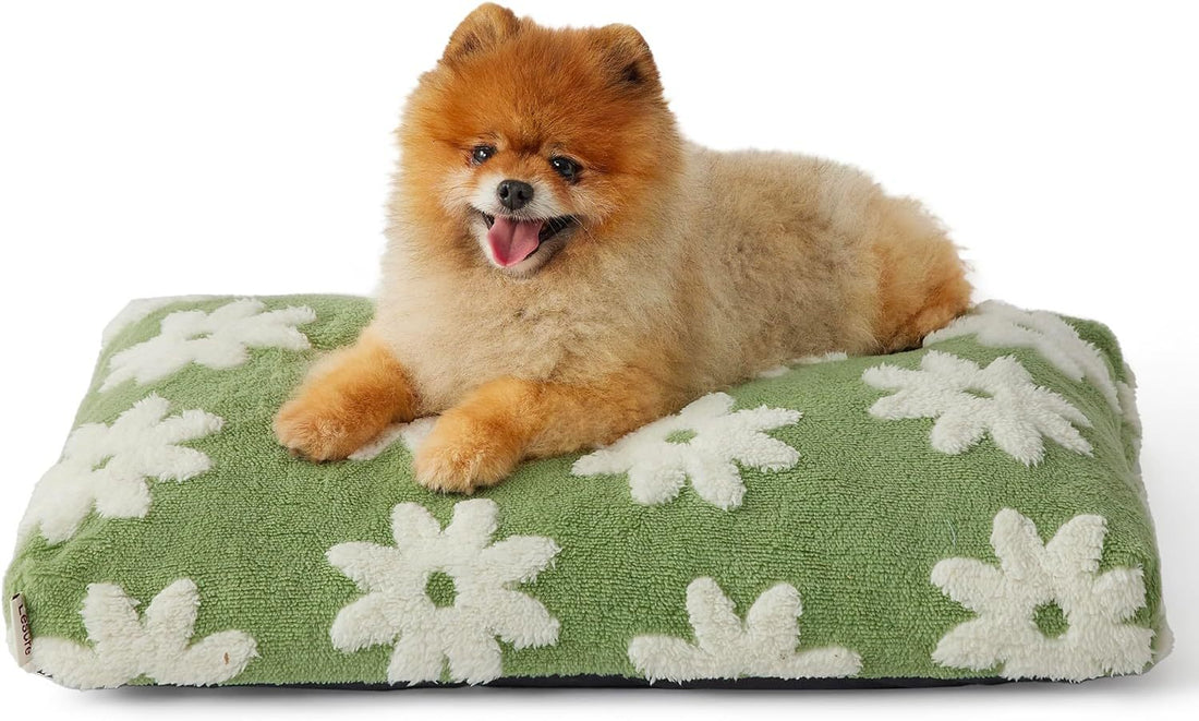 Large Sized Dog Thick Plush Bed