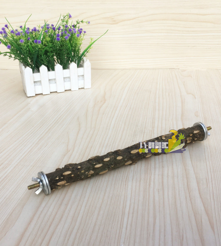 Take-away Cage Parrot Outing Package