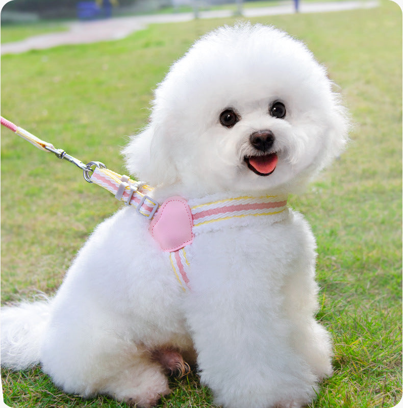 Pet Walking Dog Leash