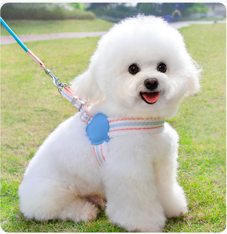 Pet Walking Dog Leash