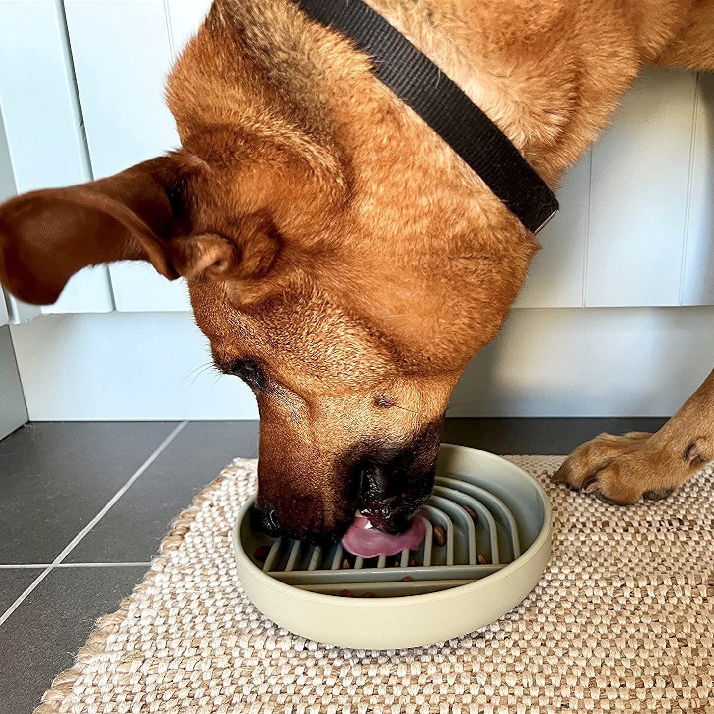 Pet Simple Slow Feeding Bowl