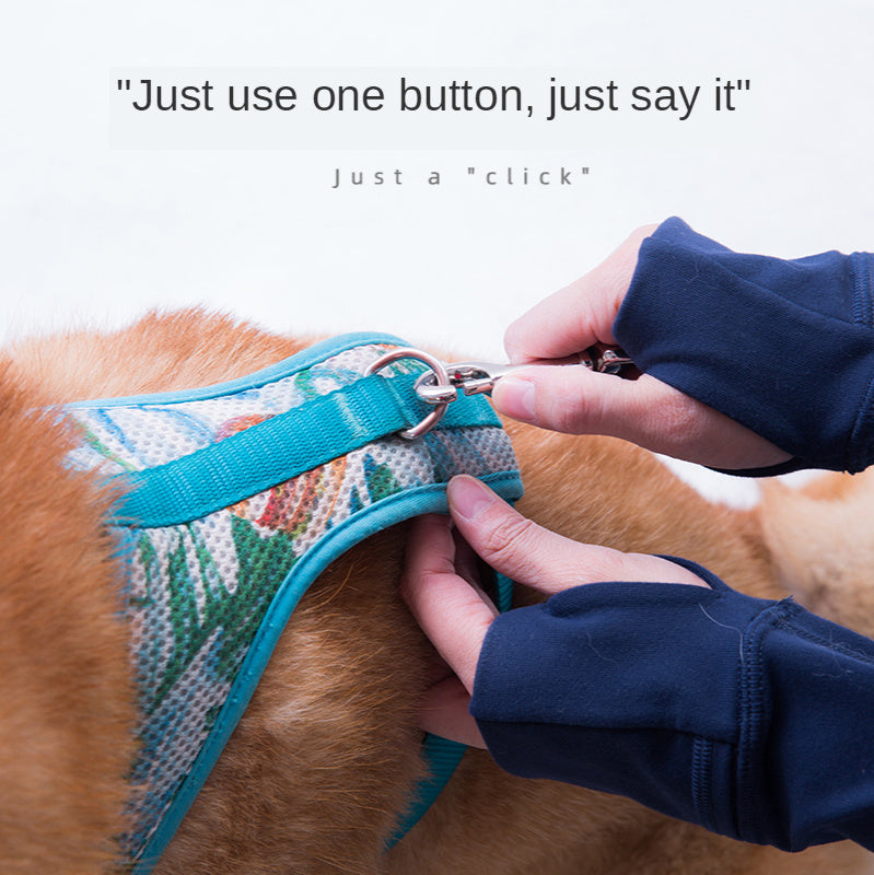 Liberation Of Hands Running Dog Leash